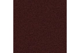 Viola 1L46