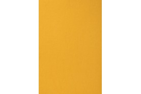 Passion 1000 2D87
