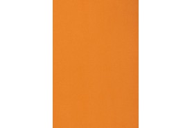 Passion 1000 2D88
