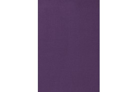 Passion 1000 3D07