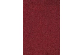Passion 1003 1M02