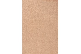 Passion 1004 2D89