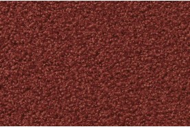 ELARA (Exclusive 1009) 1M16