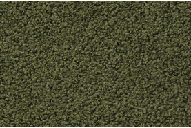 ELARA (Exclusive 1009) 4F75