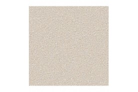 CONZANO (Passion 1004) 1M04