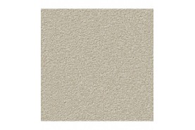 CONZANO (Passion 1004) 8J00