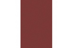 MODENA (Passion 1000) 1P02