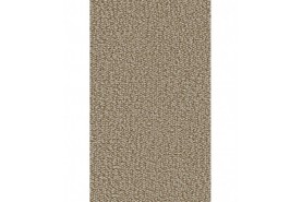RONDO (Passion 1005) 7G97