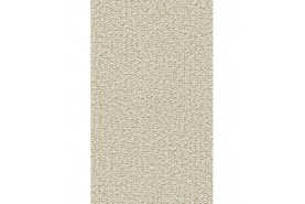RONDO (Passion 1005) 8K60