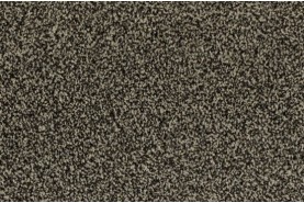 Frisea (2014) 5L21